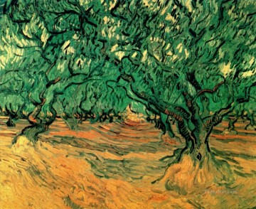  Live Art - Olive Trees Vincent van Gogh